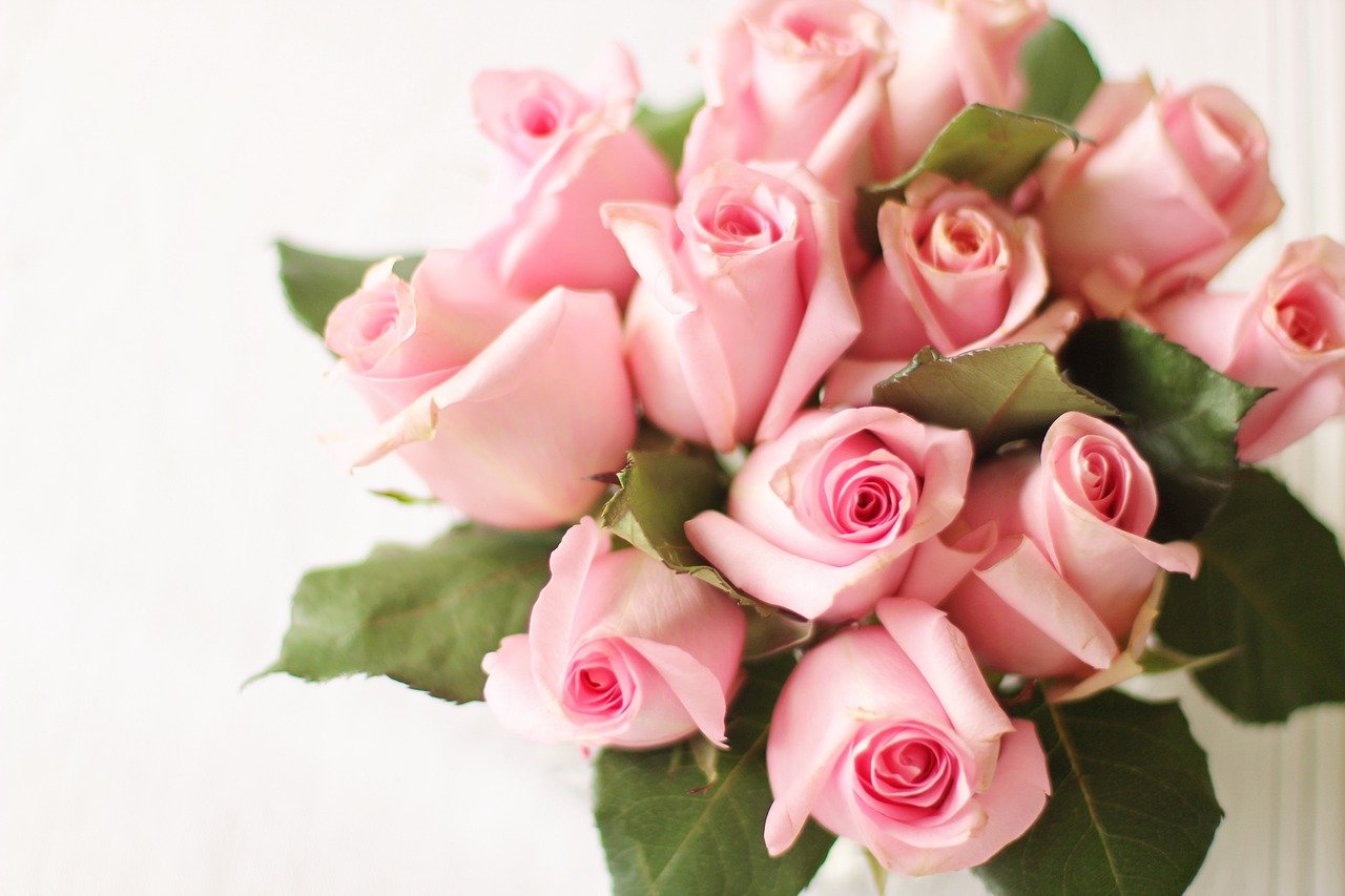 Co sprawia, że wieczne róże tak długo zachowują swój wygląd i zapach?